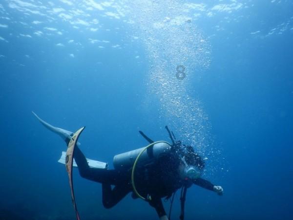 探寻知识星球平台《射雕英雄传》中的郭靖大侠真的存在历史原型吗?的魅力